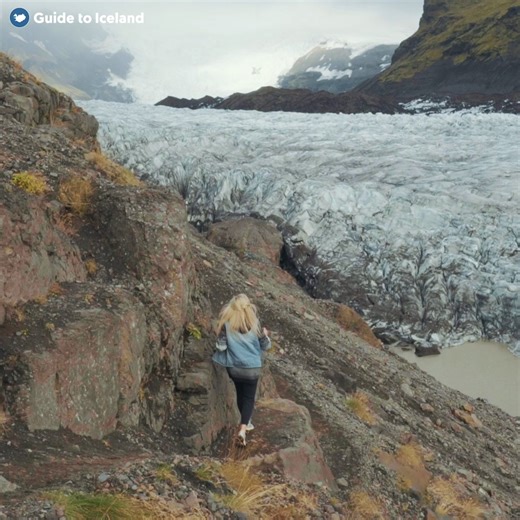 See the mesmerizing patterns of the majestic Svinafellsjokull glacier as seen from above ❄️👀 Fact: Svinafellsjokull translates to Pig Mountain Glacier 🐷⛰️ | Guide to Iceland