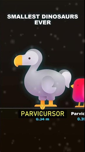 5 Dinosaurs That Were Smaller Than a Chicken