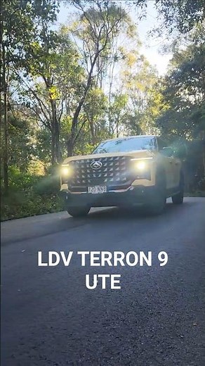LDV Terron9 Teaser Westpoint Autos