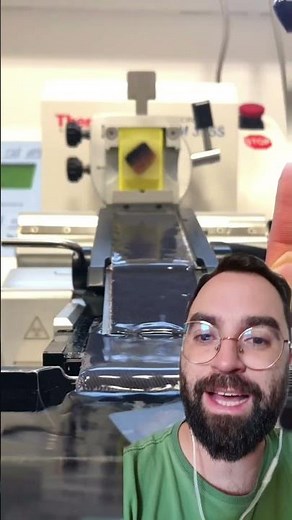 How to make a permanent microscope slide [with a MICROTOME] 🌻🔬