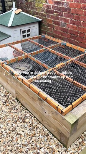 Designing a Perfect Tortoise Enclosure