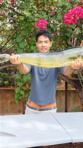 Mahi mahi 3 ways #mahimahi #fish #cooking