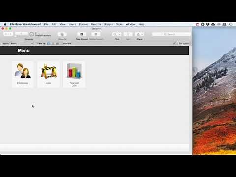 Filemaker Security and User logins