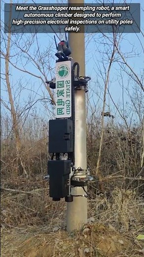 Innovative Grasshopper Robot Performs Precise Electrical Resampling On Poles