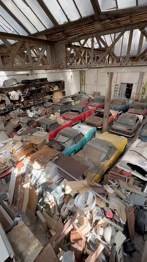 131K views · 1.4K reactions | 100 Luxus-Oldtimer gefunden ☠️ #oldtimer #oldtimers #cars #car #vintagecar #oldcars #oldcar #historical #history #urbexworld #urbex #urbexphotography #abandoned #abandonedplaces #lostplaces #lostplacesgermany #fblifestyle #nrw #deutschland #deutsch #triumph | Losthistorie | Facebook