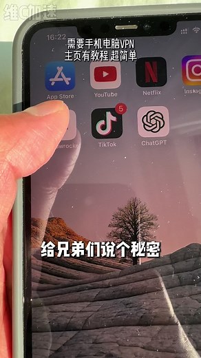 VPN加速器推荐与使用指南