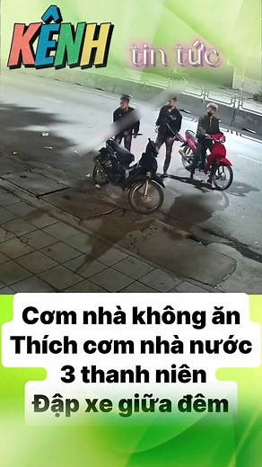 3 thanh niên phá hoại tài sản
