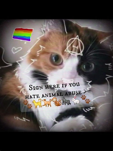 Stop animal abuse this video is to show#therian#furry#kandi😡😡😡😡😡