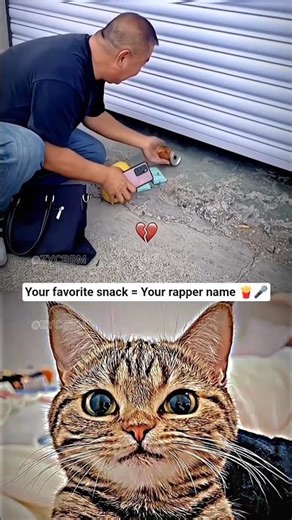 The algorithm of how gambling works #cat #meme #funny