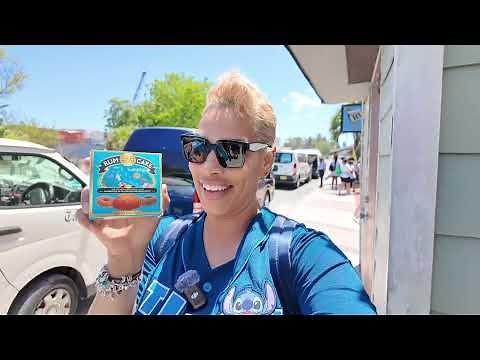 Disney Wish Nassau Bahamas Family Cruise Vlog | Palo Steakhouse Dinner Review 2025