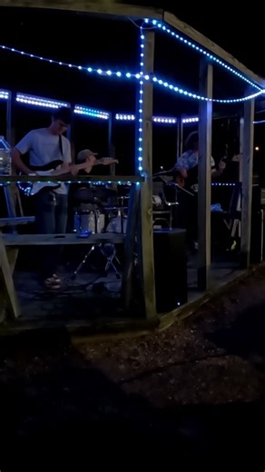 Angry Lizard Noise #guitarsolo #benches