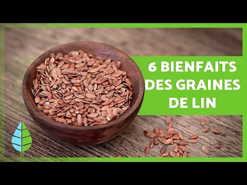 BIENFAITS des GRAINES DE LIN ✅ (Propriétés, comment les consommer et contre-indications)