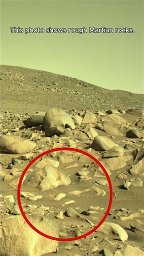 The Rover's Camera Caught Something on Mars