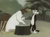 @pblsp_ 1.4 billones de personas son de la India, de los 8 billones que hay en todo el planeta.Eso significa que casi un 20% de todos los humanos vivos en este momento son de allá.Por pura estadistica basicamente.