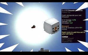 和TimeDeo一起游玩Skyblock