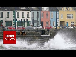 Hurricane Ophelia: Two people die as storm hits Ireland - BBC News