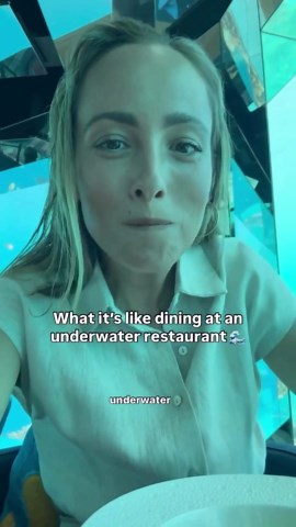 What it's Like Dining in an Underwater Restaurant