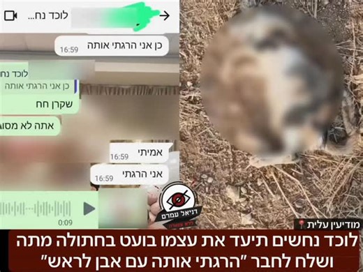 ‎דניאל עמרם - daniel amram‎ | ‎לוכד נחשים תיעד את עצמו בועט בחתולה מתה ושלח לחבר ״הרגתי אותה עם אבן לראש״- בתגובה אלינו אמר: ״זה היה בצחוק״: ארגוני בעלי חיים הגישו תלונה...‎ | Instagram