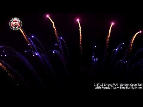 DM-E30R7-092 Golden Coco Tail With Purple Tips + Blue Dahlia Mine