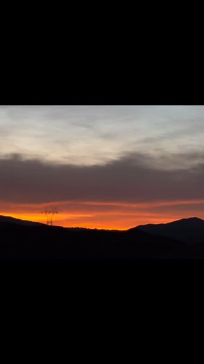 Labradors wake up early reminding us daily God is awake. Labradors gifted by God, reminding each and every one we are Blessed today | Mountain Honey Labradors