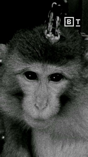 10K views · 63 reactions | #AI ethics should include all sentient...