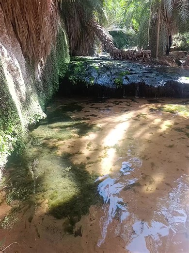 The charming Oasis of Terjit 🌴 A hidden paradise nestled in the Adrar mountains—where palm groves, cool springs, and golden canyon walls offer a refreshing escape in the heart of the Sahara. A place to slow down, breathe, and feel the magic of Mauritania’s desert soul. #Terjit #Terjit Oasis #Mauritania #Adrar #SaharaOasis