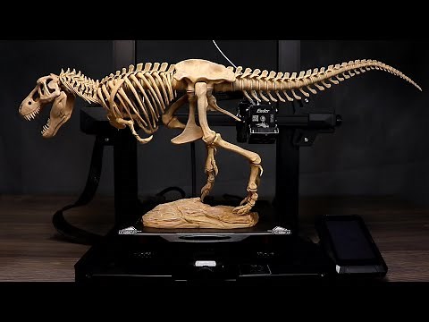 How to Make T-Rex Skeleton | Creality Ender 3 S1 Pro