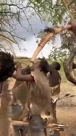 Hunting in a primitive way: a thrilling experience! #africa #wildlife #hunting #shorts
