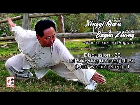 Bagua Zhang Footwork Secrets - Master Di Guoyong on the Mud Wading Step #baguazhang #taichi #八卦掌