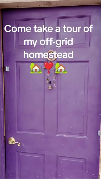 Exploring an Off-Grid Homestead in the Colorado Mountains