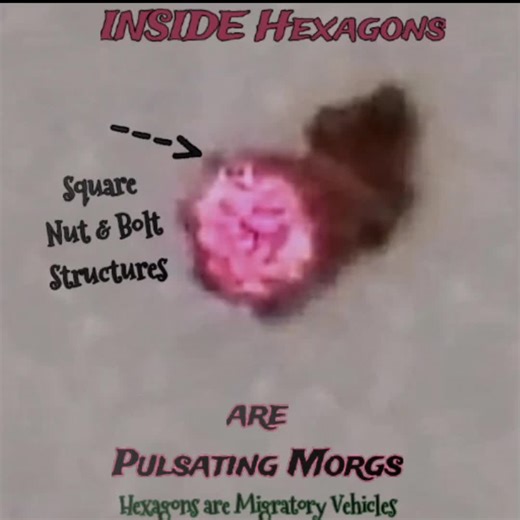 Hexagons🛑 are a part of the Morg phenomena. Through behavioral observations, we've discovered these geometric structures serve as yet another form of *Migratory* *Vehicle* for Morgs. When the home hive's population soars, Morgs utilize hexagons, fibers, lint bugs, fiber knots, black specks, household dander, hair knots etc, to send nymphs & adults to new location. Hexagons are INITIALLY filled with life as seen in this video. However, once away from home hive (original location), Morgs disperse