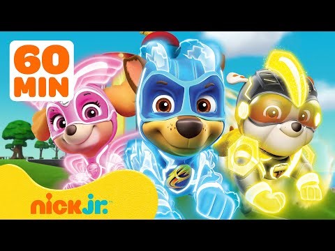 Patrulha Canina Filhotes Poderosos: Choque de Energia! ⚡️ Skye & Chase | 60 min | Nick Jr.