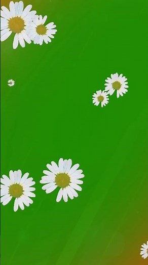 Flower flying green screen shorts | Green screen flower short video