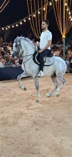 خيل ابراهيم غزال