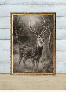 Axis Buck in the Brush – Stunning Black and White Digital Print – Elegant Nature Wildlife Art for Home Décor- Rustic Deer in the Country - Etsy