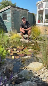 Here are my 3 favorite things of the Aquascape Ecosystem Pond out here in England | Greg Wittstock the Pond Guy