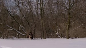 An Old Fashioned Thanksgiving (2008) Welcome to the movies and television