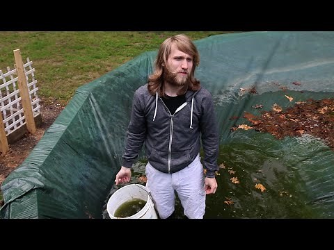 REFLECTION POOL!