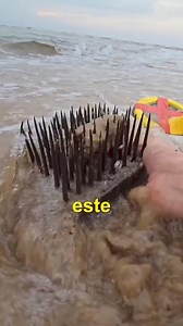 204K views · 603 reactions | Que sorpresa #playa #beach #beaches #beachlife #usareels #mexico #usa #argentina #elCaribe #colombia #Venezuela #chile #uruguay #peru #brasil #puertorico #Acapulco #mazatlan #cancun | Sergio E Navarro | Facebook