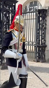 Hourly Changing the Guards #london #tourist #history #horse