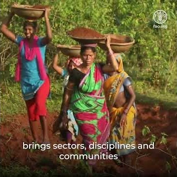 One Health in agrifood systems: interview with Thanawat Tiensin