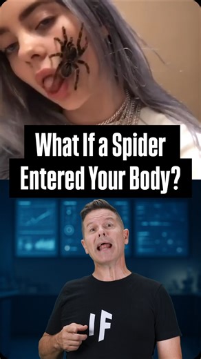 What If on Instagram: "What would happen if you swallowed a spider in your sleep? 😰🕷️ Would you be able to get it out? 😱 #WhatIf #SciFi #ScienceFiction #Spider #BodyScience"