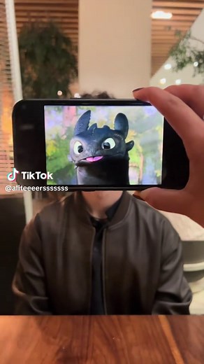 HTTYD: Toothless, Stormfly & Hiccup's Love