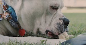 Video by K     on Pexels