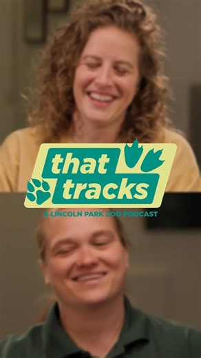 A podcast with animal experts, exclusive chats, behind-the-scenes scoop… and poop? That definitely tracks 🐾 Tune into the first episode of That Tracks with special guest and zoo nutritionist Siga Lapinskas, as we dive into surprising and hilarious stories from the zoo. Watch now on YouTube https://bit.ly/4fDgZDH | Lincoln Park Zoo