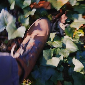 Forsake takes you there. | Forsake