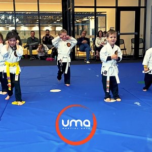 Here are some benefits of promoting karate to kids aged 3 to 4: 1....