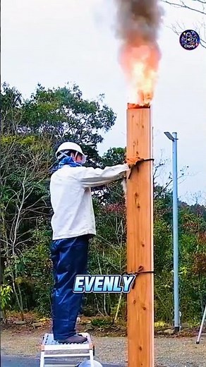 Why Japan Burns Wood for Houses 🔥