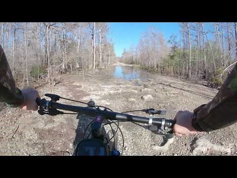 Hunting Big Cypress Part 1 Scouting for turkeys