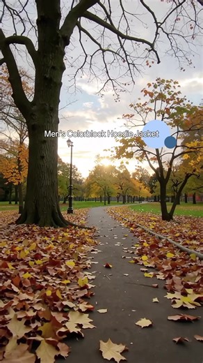 Men's Colorblock Hooded Sweatshirt, Fall Winter Half-Zip Long Sleeve Jacket, Casual Fitted Pullover with Elbow Patches #mensjacket #sweaters #oversizedhoodie #mensclothingsets #zipuphoodie #menshoodie #fuzzyhoodie #lacostehoodie #menssportswearstyle #sweatpantshoodie